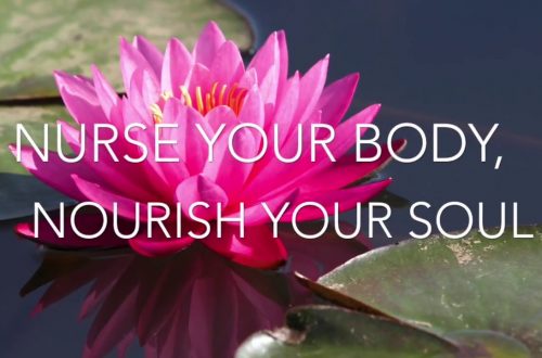 Nourish Your Body