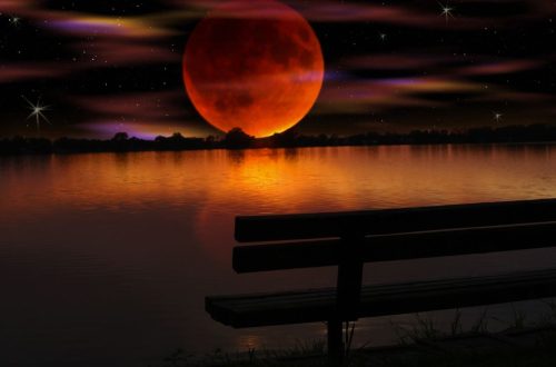Moon Sign